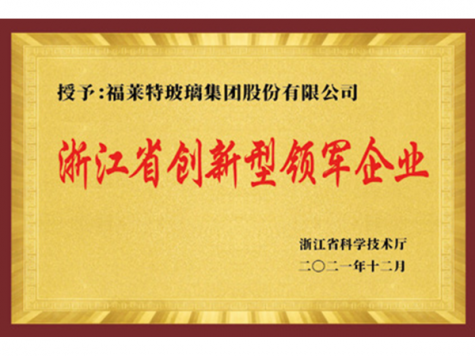 浙江省立异型领军企业