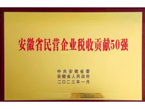 安徽省民营企业税收孝顺50强